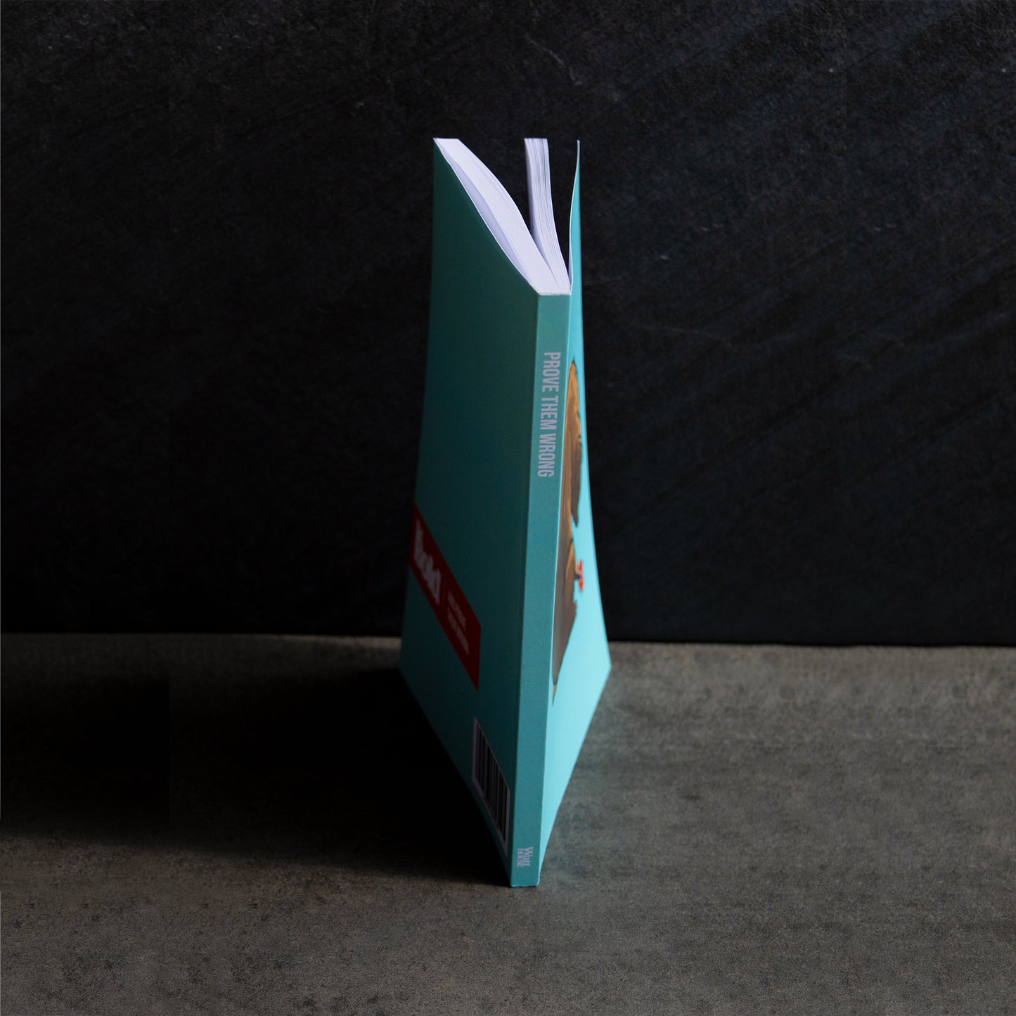 Be Bold: Prove Them Wrong